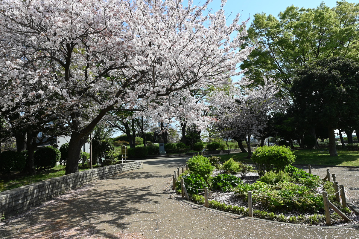 野毛 山 公園